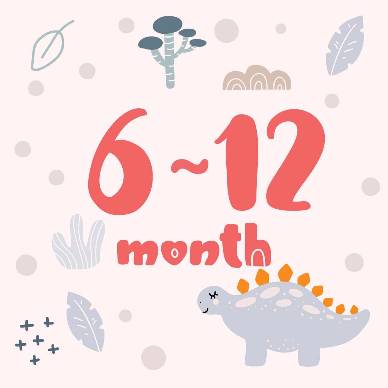 Shop 6-12 months