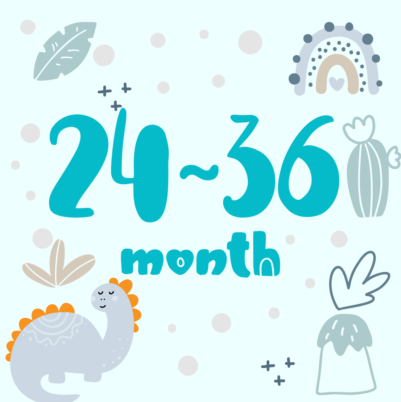 Shop 24-36 months