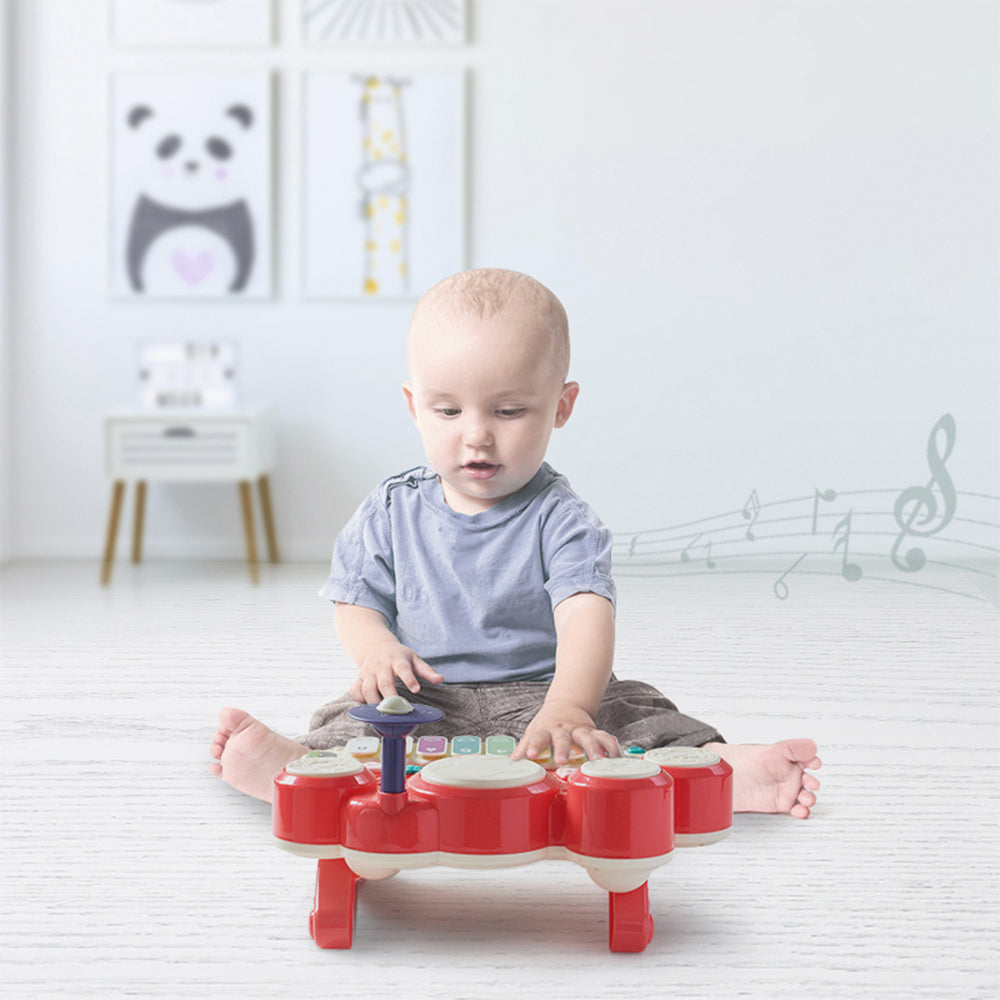 Musical Instruments Learning Toys