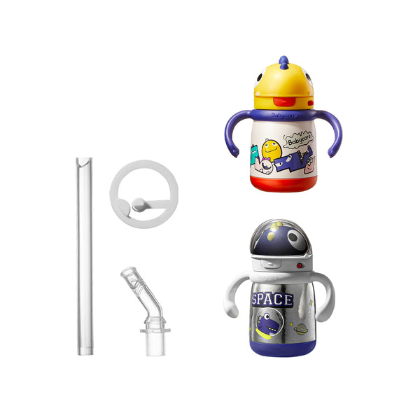 Dinosaur Insulated Water Bottles Accessory Package