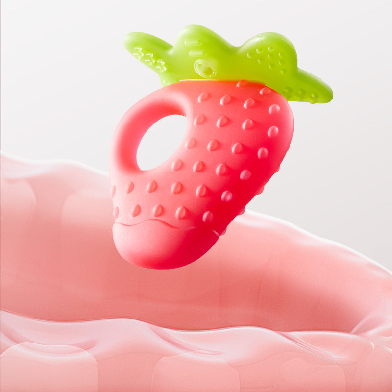 Fruit Teether