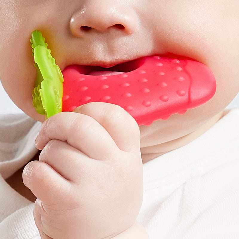 Fruit Teether